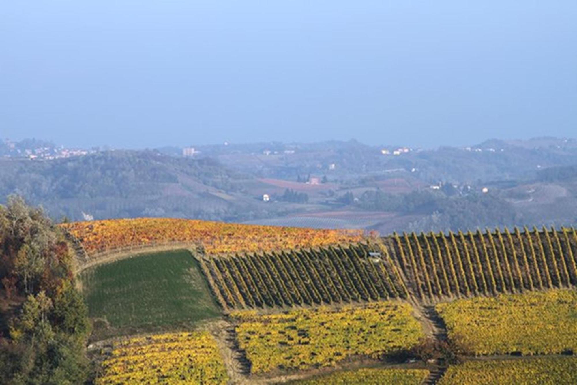 Cascina Marcantonio Acqui Terme Zewnętrze zdjęcie